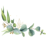 名称未設定のデザイン 2026 02 11t090246.802