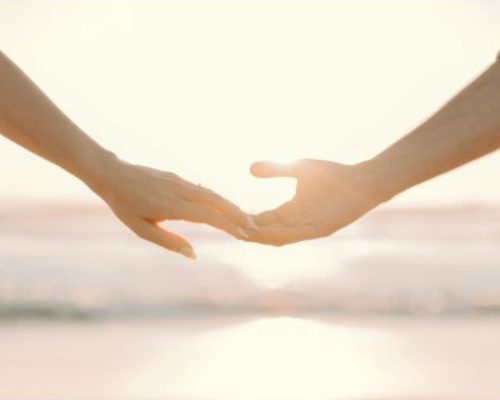 パートナーシップ